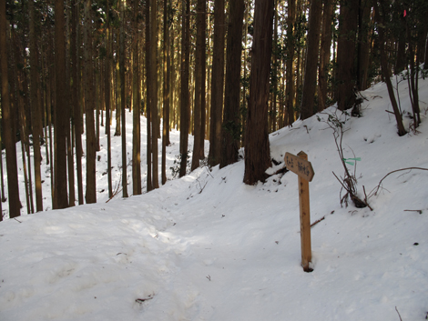 20140211hike (82)